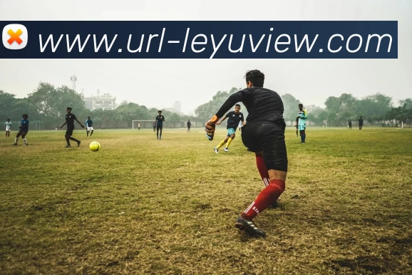 乐鱼体育平台生态图