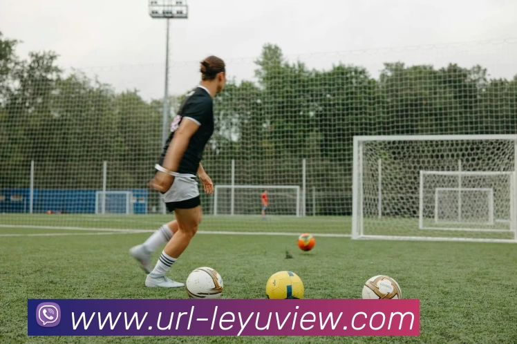 乐鱼体育APP 封面图